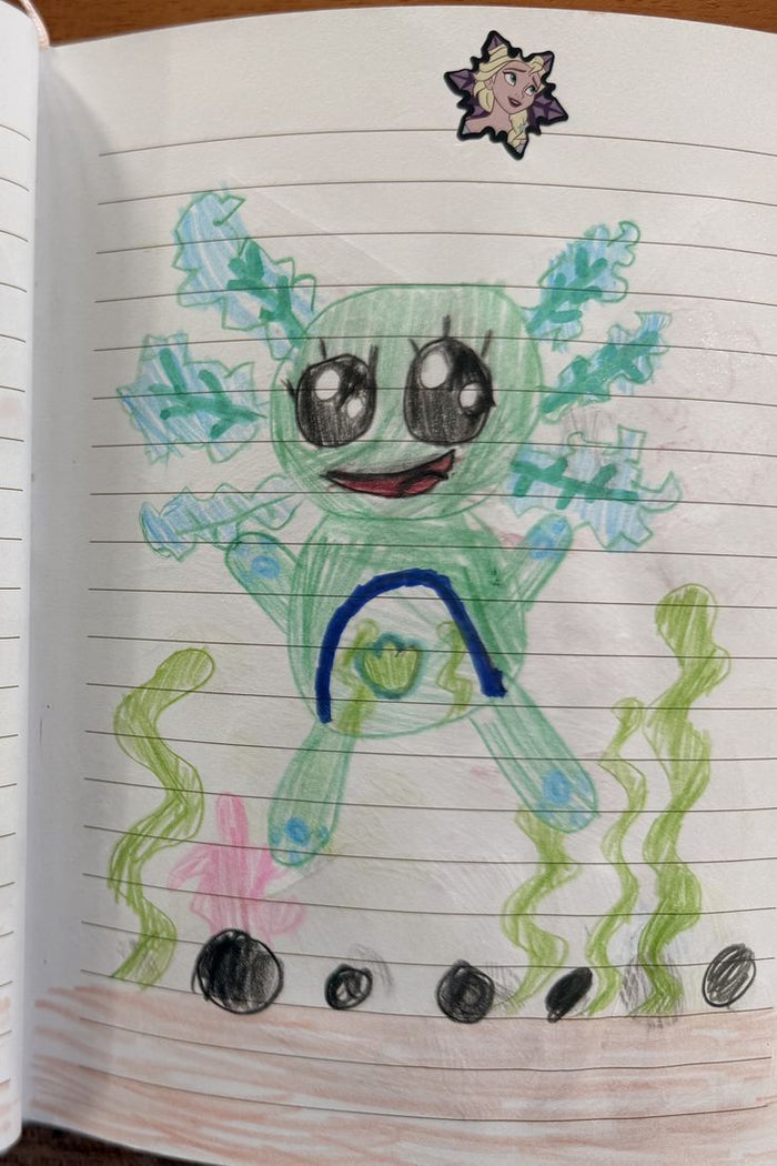 Drawing of a green axolotl with blue gills among seaweed
