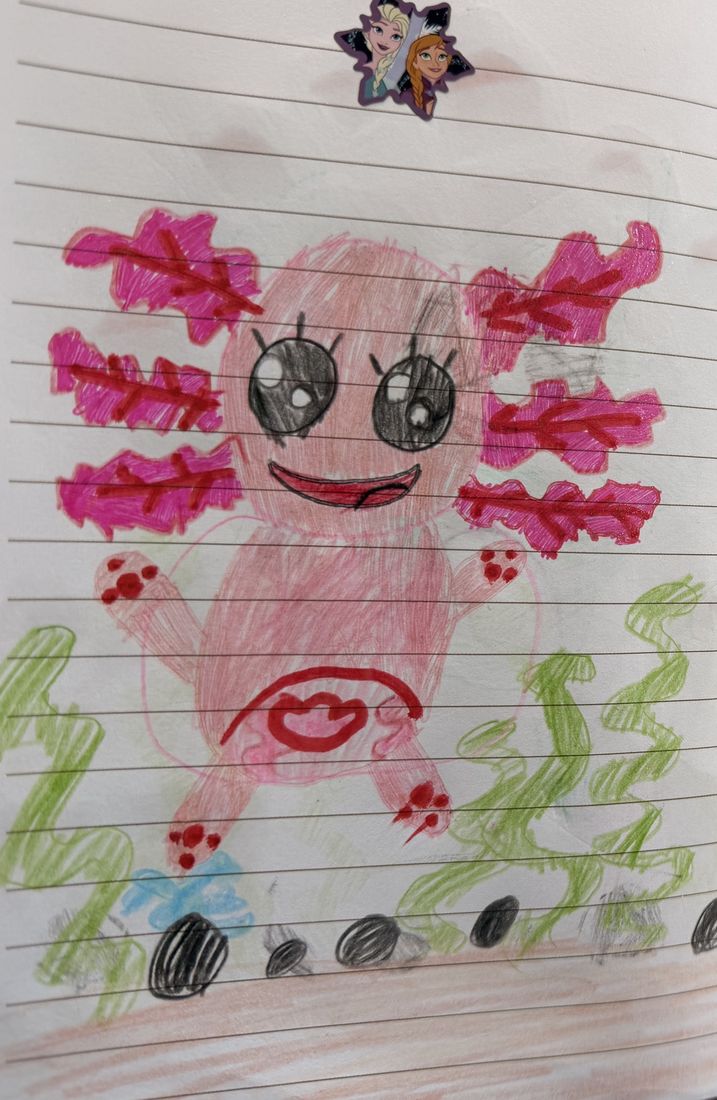 Drawing of a pink axolotl with a big smile among seaweed